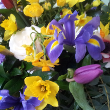 Everyday flowers